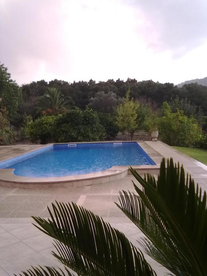Villa Milagro - 3 Bedroom Finca Style Villa With Pool Near Golf Course/Beaches - Air Cond. Pollença Extérieur photo